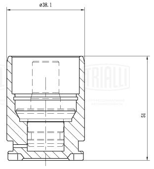 Поршень корпус скобы тормоза TRIALLI RCF 103564