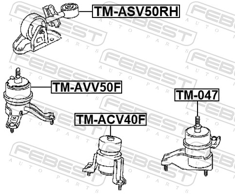 Подвеска двигатель FEBEST TM-ASV50RH