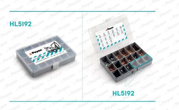 Ассорт. набор резьбовая пробка маслосливного отверстия PAYEN HL5192