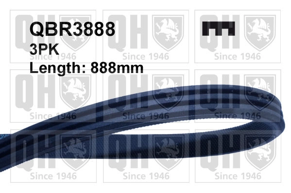 Поликлиновой ремень QUINTON HAZELL QBR3888