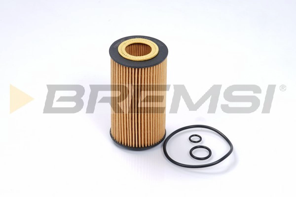 Масляный фильтр BREMSI FL0012