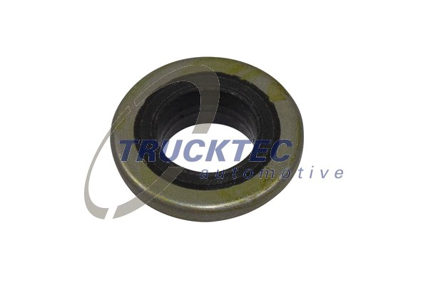 Прокладка болт крышка головки цилиндра TRUCKTEC AUTOMOTIVE 01.10.190