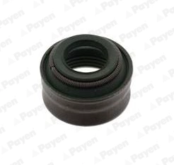 Уплотнительное кольцо стержень клапана PAYEN PA6101