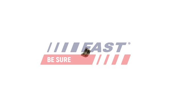 Чека клапана FAST FT43801