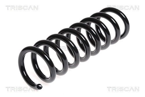 Пружина ходовой части TRISCAN 8750 23128