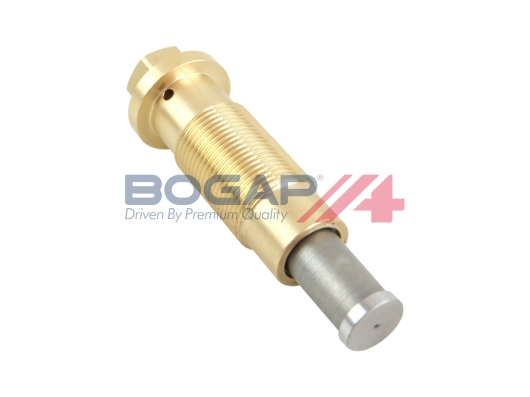 Натяжитель цепь привода bogap premium BOGAP C1312100