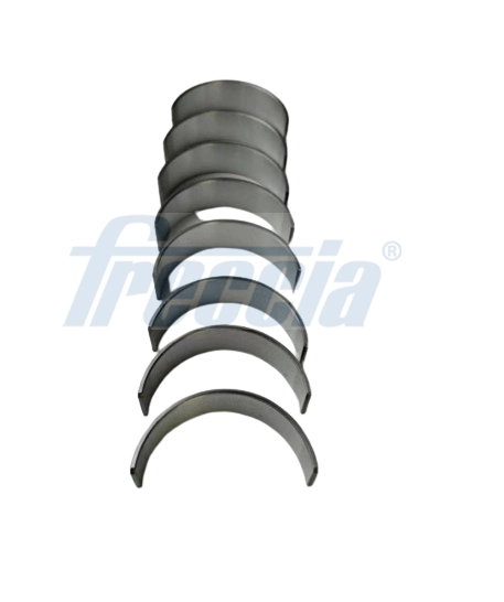 Комплект вкладышей FRECCIA CR19-100507