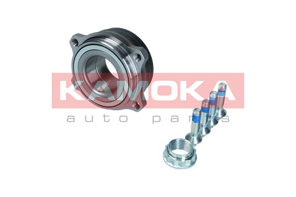 Комплект подшипника ступицы колеса kamoka KAMOKA 5500301