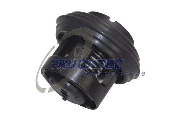 Перепускной клапан TRUCKTEC AUTOMOTIVE 02.18.160