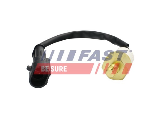 Термовыключатель сигнальная лампа охлаждающей жидкости FAST FT80157