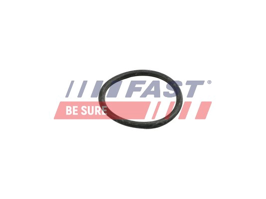 Прокладка трубопровод охлаждаю FAST FT49918