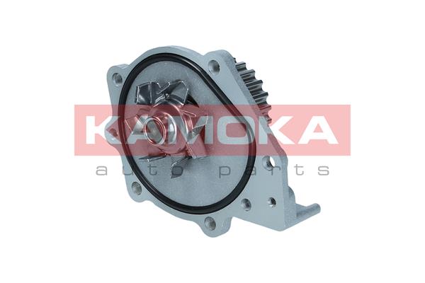 Водяной насос охлаждение двигателя kamoka KAMOKA T0174