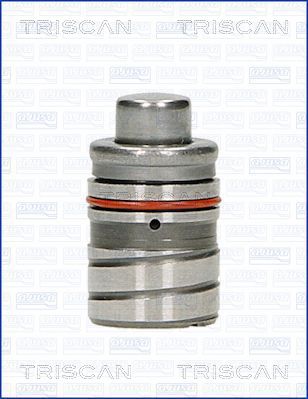 Толкатель TRISCAN 80-50000