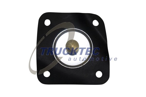 Диафрагма карбюратор TRUCKTEC AUTOMOTIVE 02.13.011