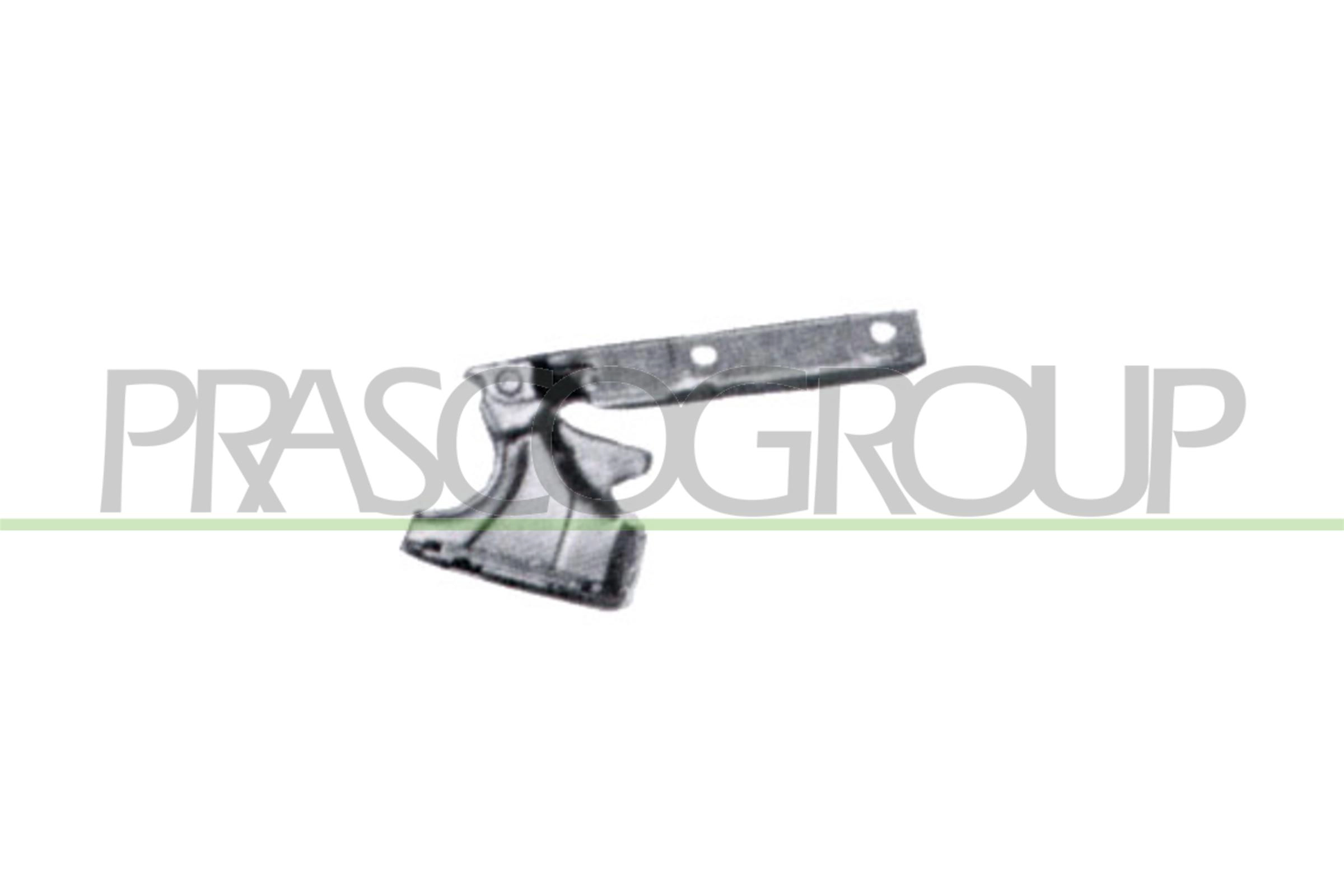 Шарнир капот PRASCO FT1323704