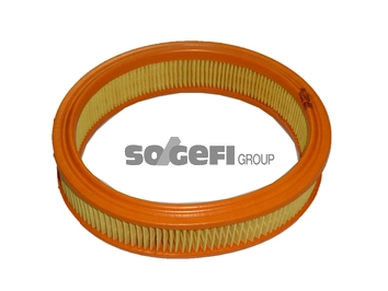 Воздушный фильтр FRAM CA3121