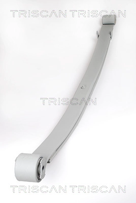 Многолистовая рессора TRISCAN 8765 10005