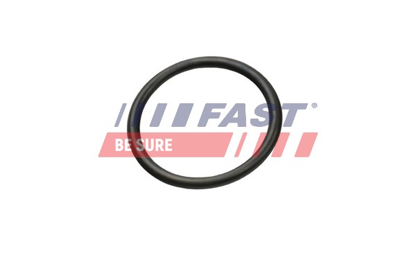 Прокладка трубопровод охлаждаю FAST FT49927
