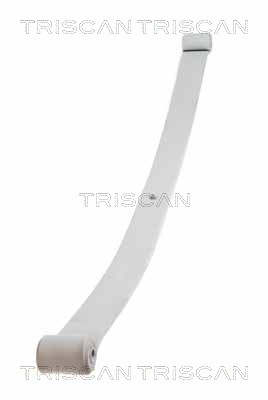 Многолистовая рессора TRISCAN 8765 10004