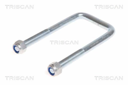 Стремянка рессоры TRISCAN 8765 100012