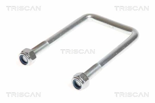 Стремянка рессоры TRISCAN 8765 100013