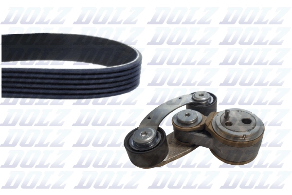 Комплект ремня грм DOLZ SKD250A