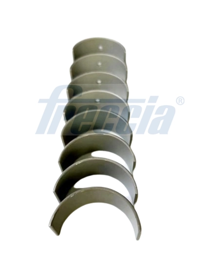 Комплект вкладышей FRECCIA CR19-101900