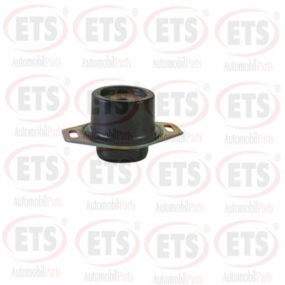 Подвеска двигатель ETS 20.ST.294