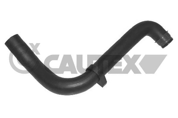 Шланг радиатора CAUTEX 031067