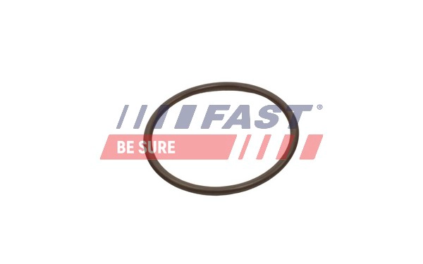 Уплотнительное кольцо трубка нагнетаемого воздуха FAST FT49933