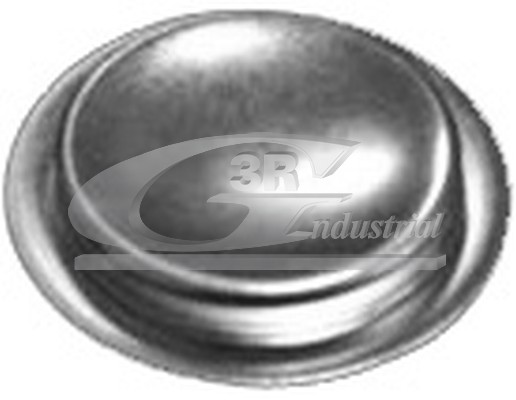Заглушка ось коромысла-монтажное отверстие 3RG 84051