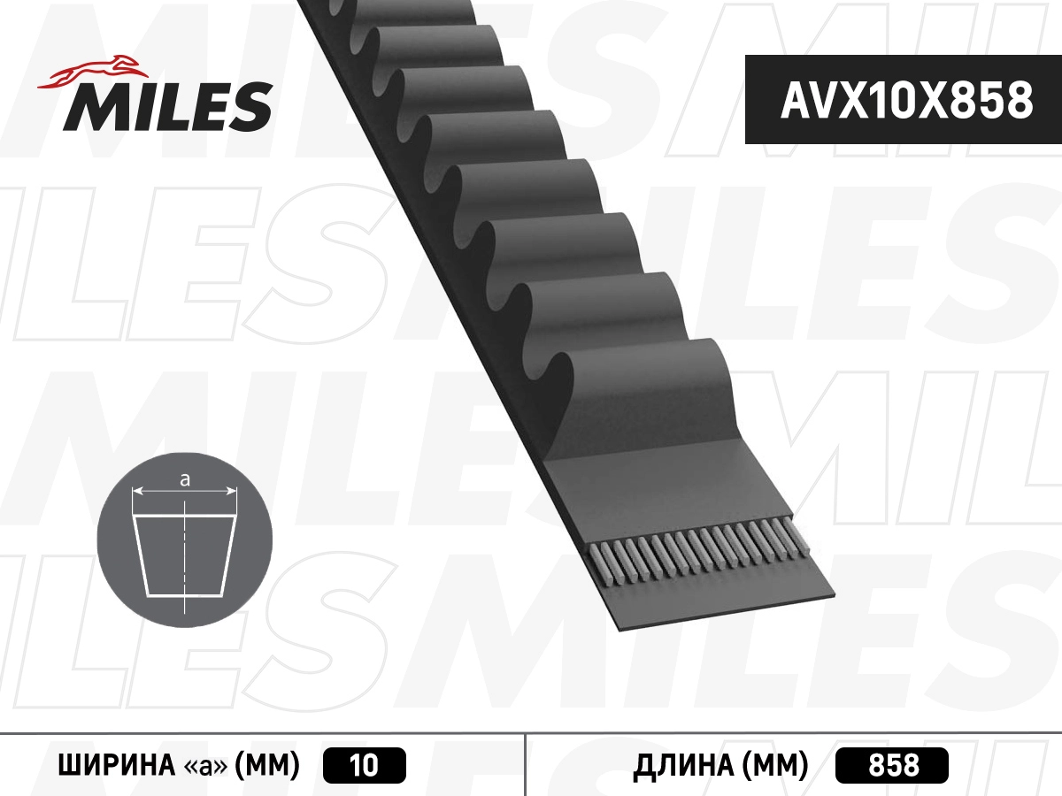 Клиновой ремень MILES AVX10X858