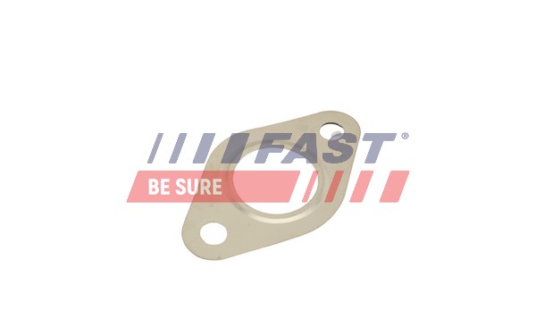 Прокладка клапан возврата ог FAST FT50615