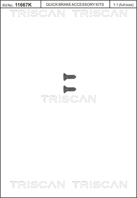 Комплект болтов тормозной диск TRISCAN 8105 116008