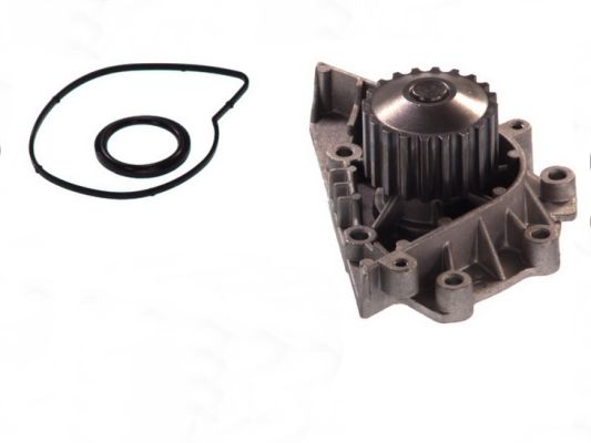 Водяной насос охлаждение двигателя THERMOTEC D1P042TT