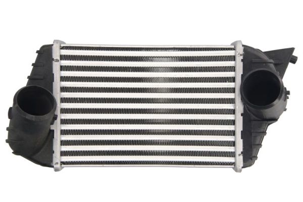 Интеркулер THERMOTEC DAF009TT