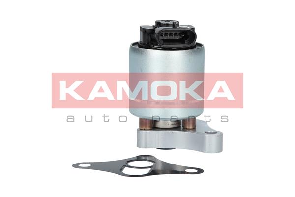 Клапан возврата ог kamoka KAMOKA 19002