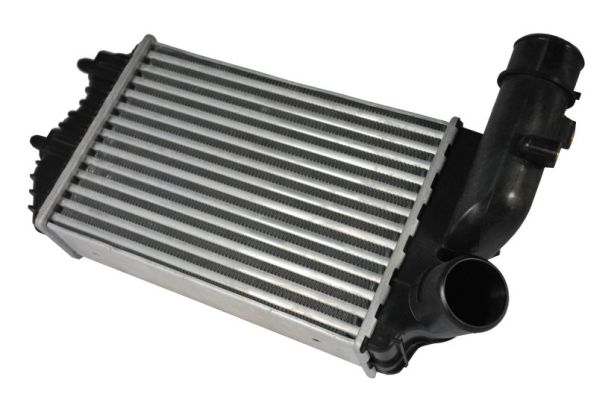 Интеркулер THERMOTEC DAF001TT