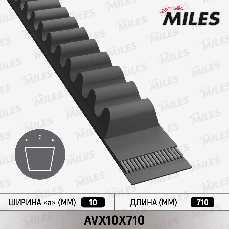 Клиновой ремень MILES AVX10X710