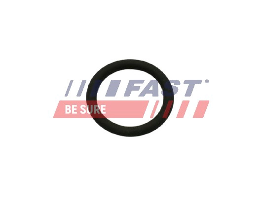 Прокладка клапан возврата ог FAST FT50601