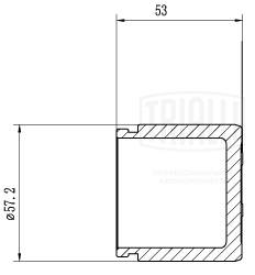 Поршень корпус скобы тормоза TRIALLI RCF 012117P