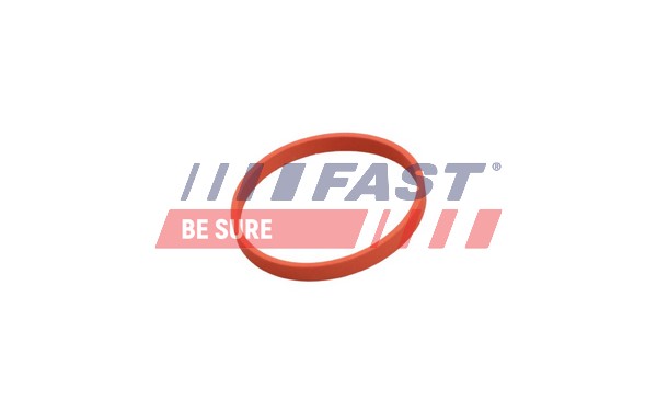 Прокладка клапан возврата ог FAST FT50628