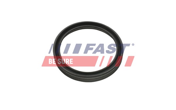 Уплотнительное кольцо трубка нагнетаемого воздуха FAST FT48956