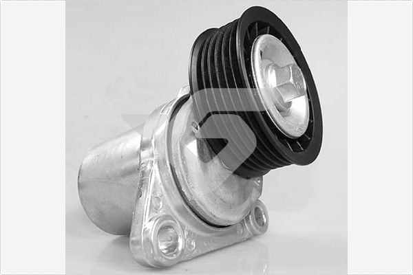 Натяжной ролик поликлиновой ремень HUTCHINSON T0491