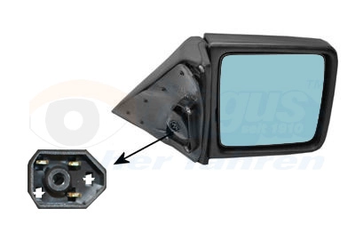 Наружное зеркало hagus VAN WEZEL 3024806