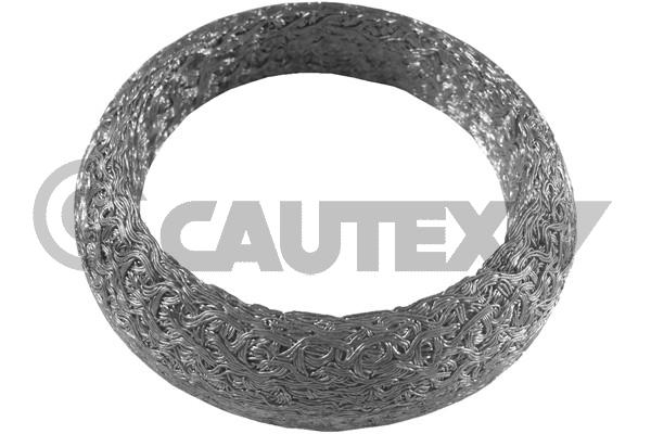 Уплотнительное кольцо труба выхлопного газа CAUTEX 954198