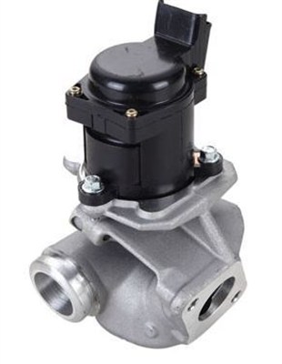 Клапан возврата ог MAGNETI MARELLI 359000604310