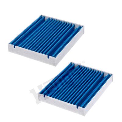 Фильтр воздух во внутренном пространстве HENGST FILTER E6989LB-2