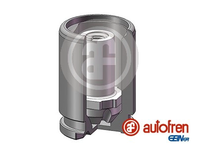 Поршень корпус скобы тормоза SEINSA D025602K