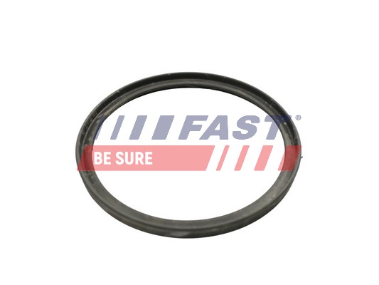 Уплотнительное кольцо трубка нагнетаемого воздуха FAST FT49922
